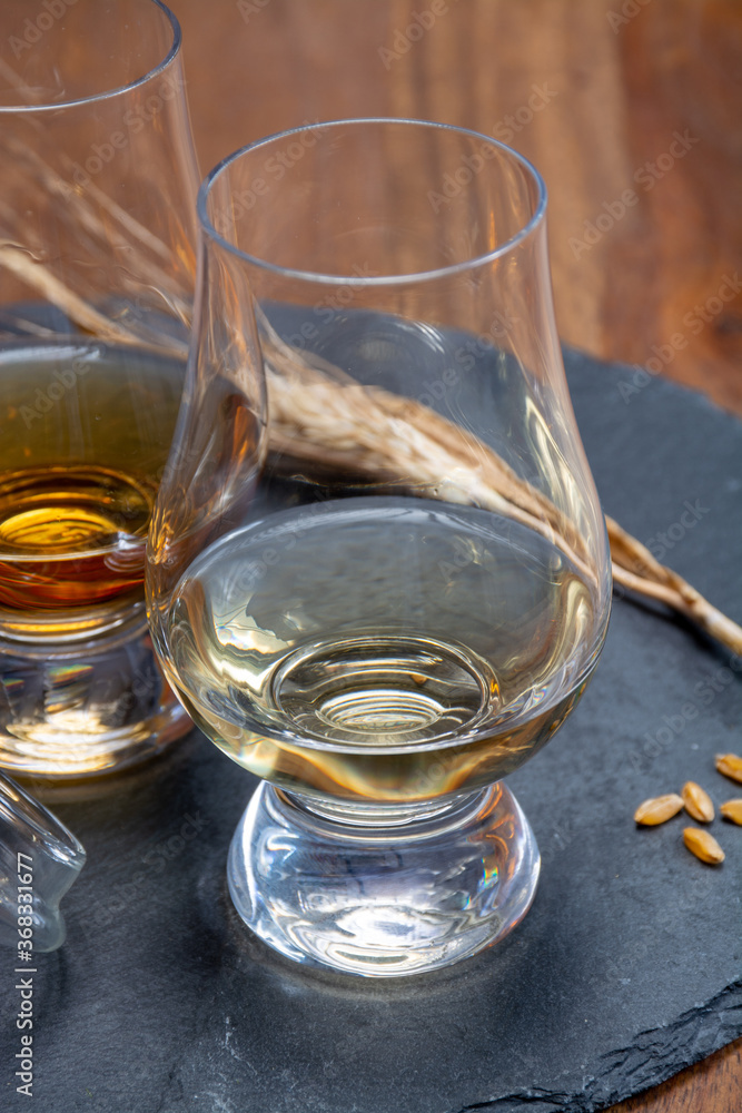 Scotch single malt and blended whisky tasting on distillery in Scotland Scotch single malt and blended whisky tasting on distillery in Scotland