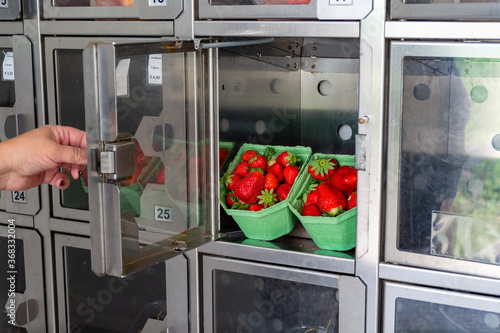 Quadro su tela Robotic vending machine fot sale of fresh fruits and berries, strawberry