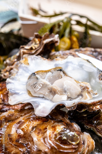 Fresh open zeeuwse creuse pacific or japanese oysters molluscs on fish market in Netherlands