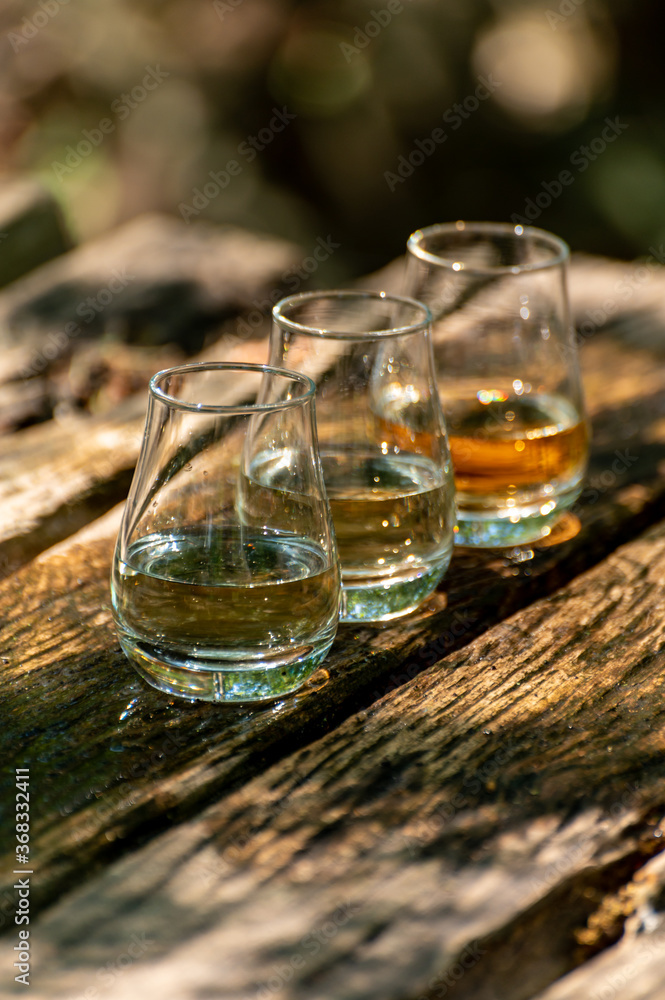 Tasting of different Scotch whiskies on outdoor terrace, dram of whiskey