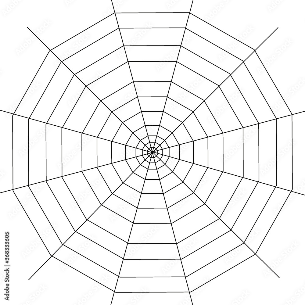 Naklejka premium Web. Internet spider web. The web is a hacker's paradise. Content for the designer.