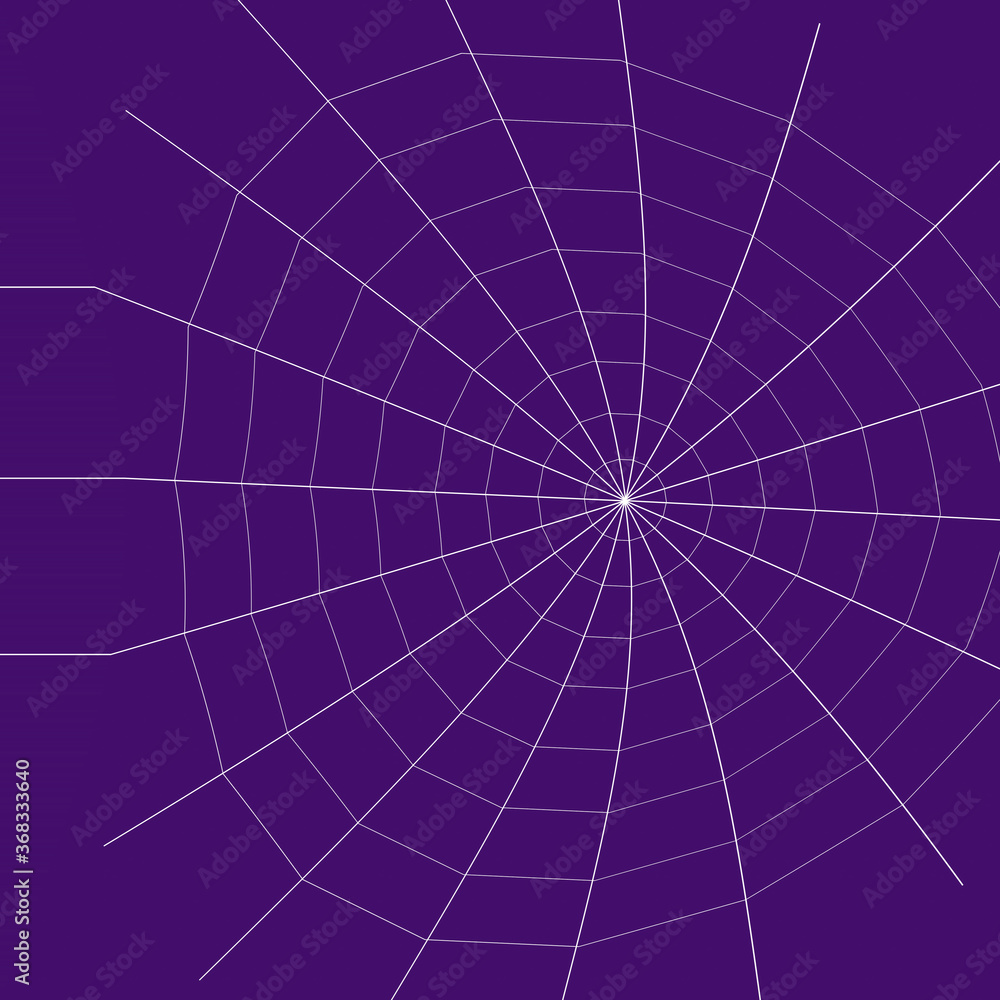 Naklejka premium Web. Internet spider web. The web is a hacker's paradise. Content for the designer.