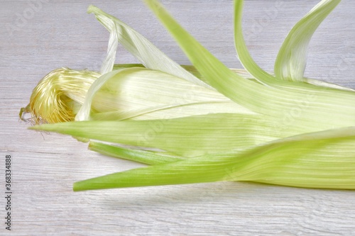 isolated fresh cob of corn in the skin on a light wooden surface