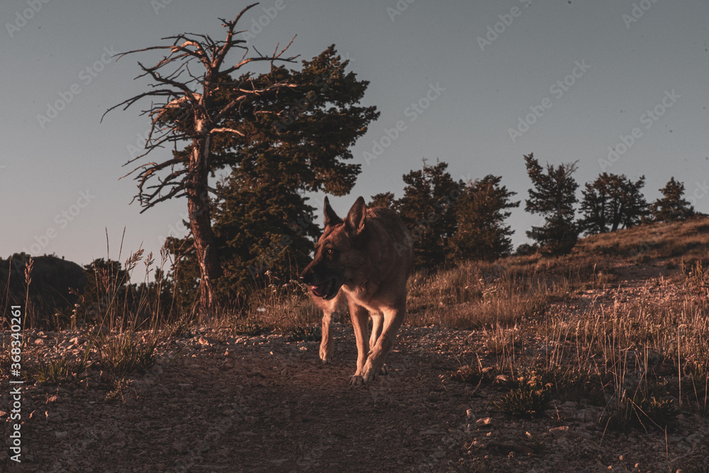 Naklejka premium Lightning Ridge 