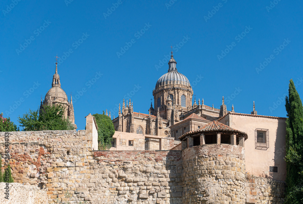 Cityscape of Salamanca, Spain