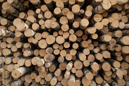 Pile of logs texture background