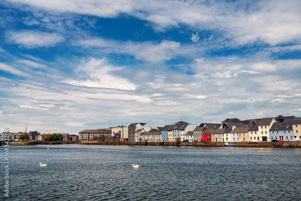 Two swans in river in Galway bay. Warm sunny day with cloudy blue sky. Colorful houses in the background.