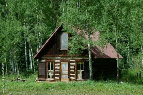 Mountain Cabins