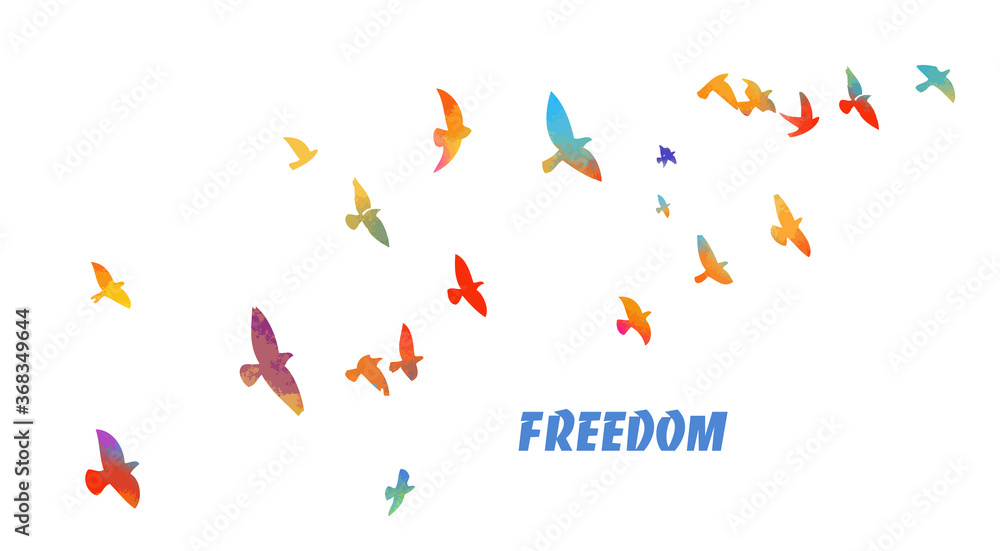 Bird watercolor. A flock of colorful birds. Freedom. Mixed media. Vector illustration