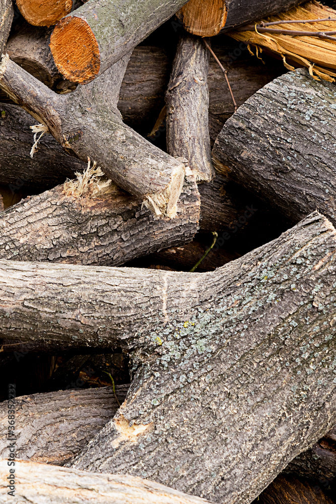tree trunk knotted sawn pile vertical photo background logging tree trunk knotted sawn pile vertical photo background logging