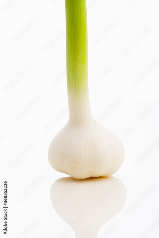 fresh garlic on white background, close-up view