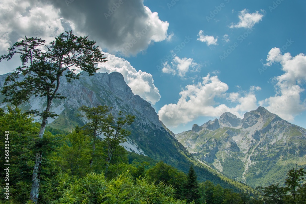 Mountain areas in summer. Beautiful views of the mountain peaks. Mountain Kom, Montenegro