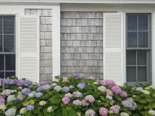 old house with flowers