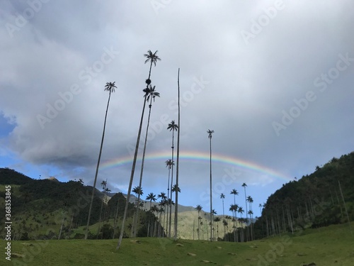 rainbow in cloud forest