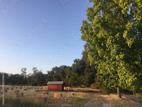 old barn in a park