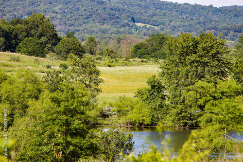 Green Field with Trees at Middle Creek Pennsylvania