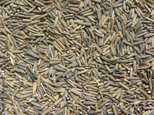 Brown and black color raw whole Bitter cumin seeds