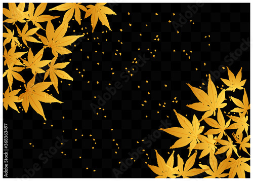 紅葉_金箔_黒格子背景