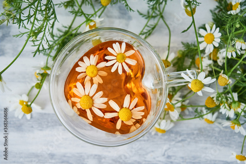 cup of natural herbal tea  with chamomile flowers  on a gray background  view from above.