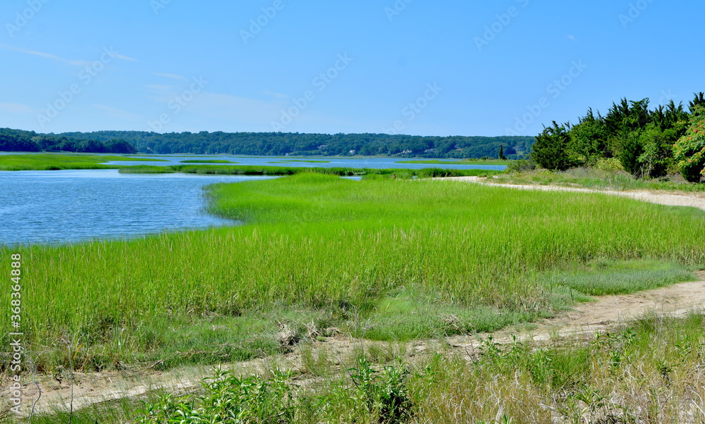 A sweeping expanse of salt marsh in Stony Brook Harbor, Long Island, NY. Copy space. 