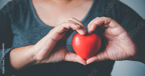 Woman hand holding a heart symbol  world heart day  donation  caring for charity  concept