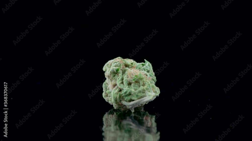 Close up of rotating medical marijuana bud on black reflecting background shot in 4k super slow motion Close up of rotating medical marijuana bud on black reflecting background shot in 4k super slow motion