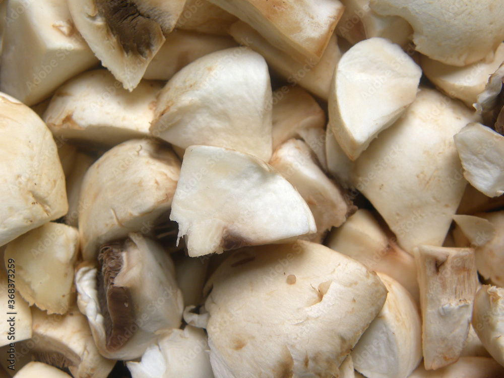 Diced cut white color raw fresh Button mushrooms Diced cut white color raw fresh Button mushrooms