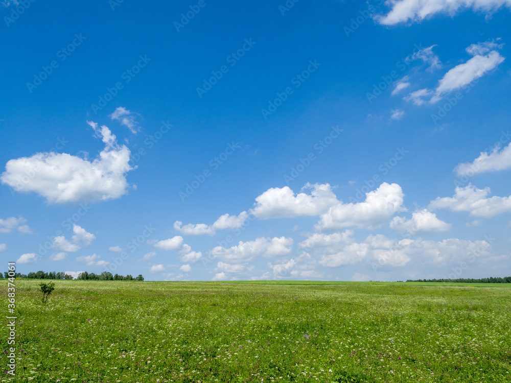 Green meadows and fields. White clouds in the blue sky. Summer sunny day