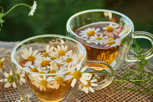 Two glass cups of tea with chamomile  on a piece of burlap  on a natural green background 
