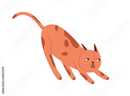 Childish, hunting, playful cat portrait. Cute, funny, spying pet, red spotted kitten. Character for t shirt print. Domestic animal. Flat vector cartoon illustration isolated on white background