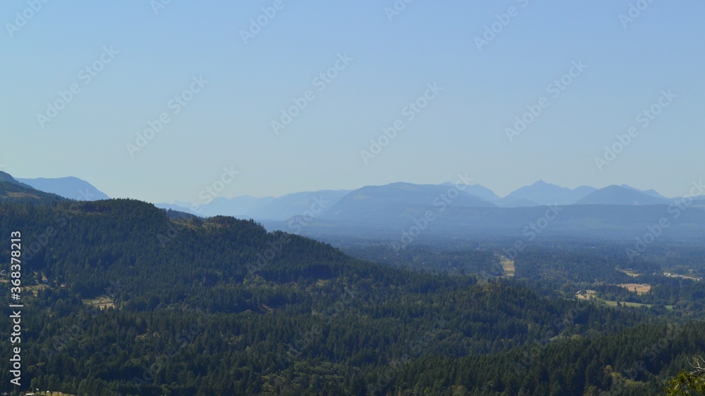 The forest beyond Cobble Hill on Vancouver Island