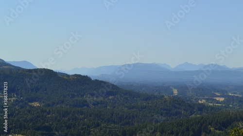 The forest beyond Cobble Hill on Vancouver Island