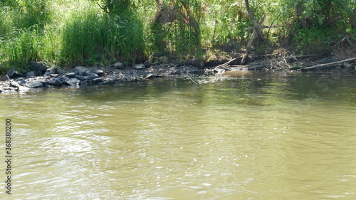 stones in the river