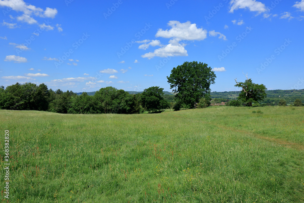 Fields and meadows around the Westerham Countryside