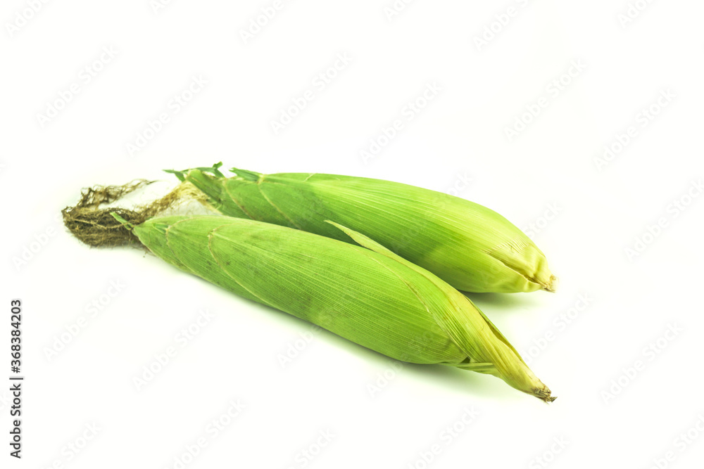 Corn on a white ground.