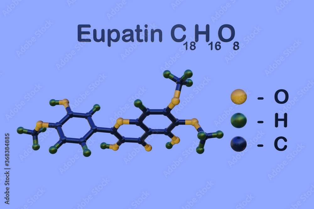 Structural chemical formula and molecular model of eupatin, a type of