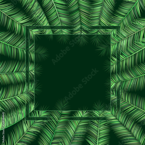 Palm leaves frame botanical vector illustration. © SunwArt