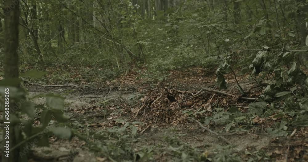 motorcycle in the off-roads. Through danger woods motorcycle in the off-roads. Through danger woods