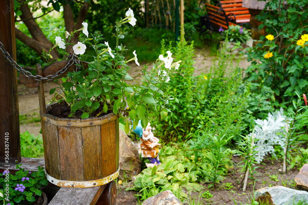 Rural landscape with flowers in a wooden bucket Rural landscape with flowers in a wooden bucket