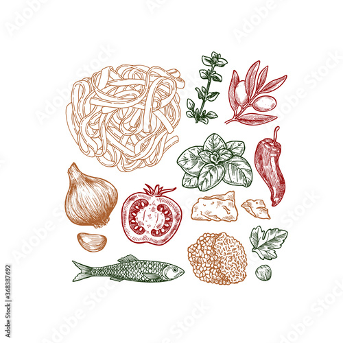 Engraved basil, tomato, olive, garlic, anchovy, truffle and pasta linear elements. Italian ingredients. 