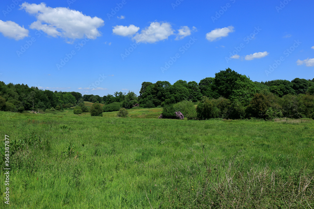 Fototapeta premium Green fields and blue skies around the Westerham countryside