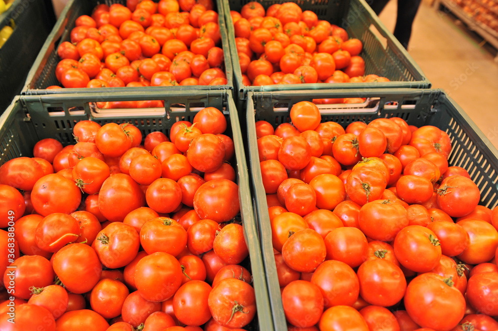 Almaty / Kazakhstan - 10.11.2011 : Fresh tomatoes from farmers in large containers for sale in the supermarket