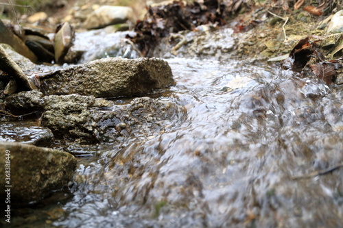 The image mountain stream with clean water.