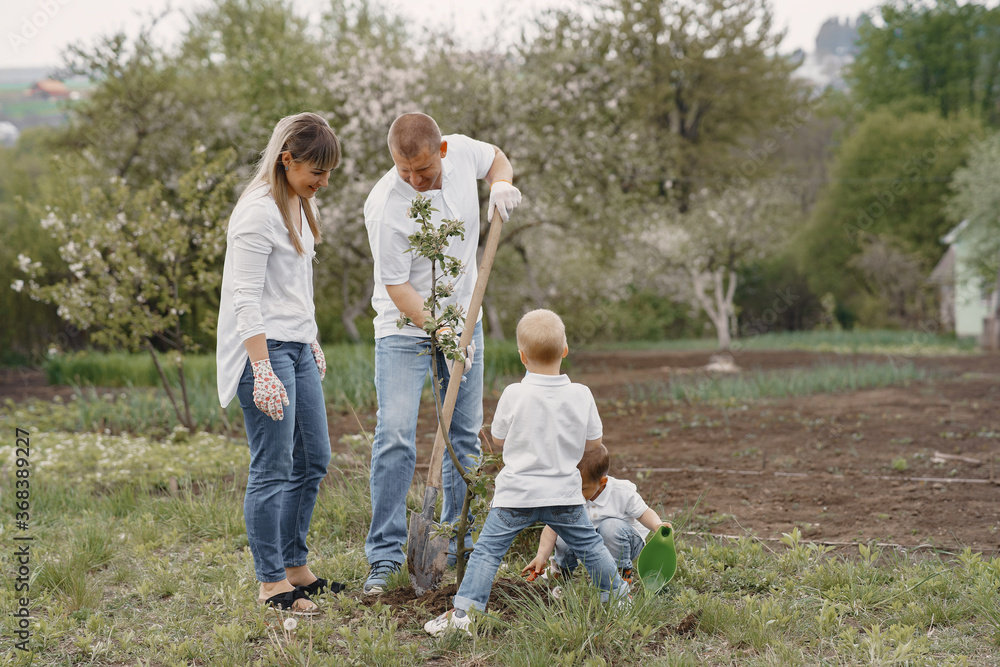 Family on a yard. Family with sons planting a tree.