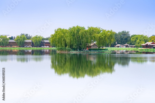 Summer in Shichahai, Beijing, China. Beautiful Shichahai Lake Island and sparkling lake water