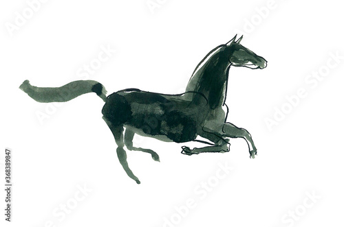 Watercolor sketch of the galloping horse.
