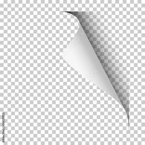 Vector page with upper right curl with shadow on blank transparent sheet of paper