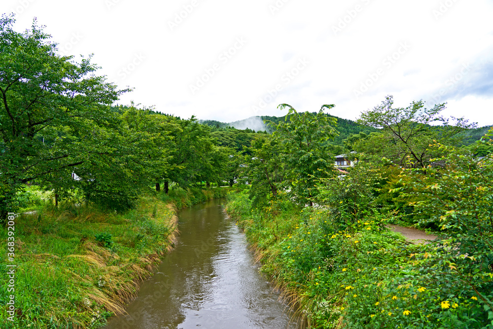 Obraz premium 田舎の風景、小川