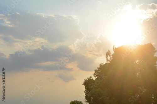 Sunset in Forest