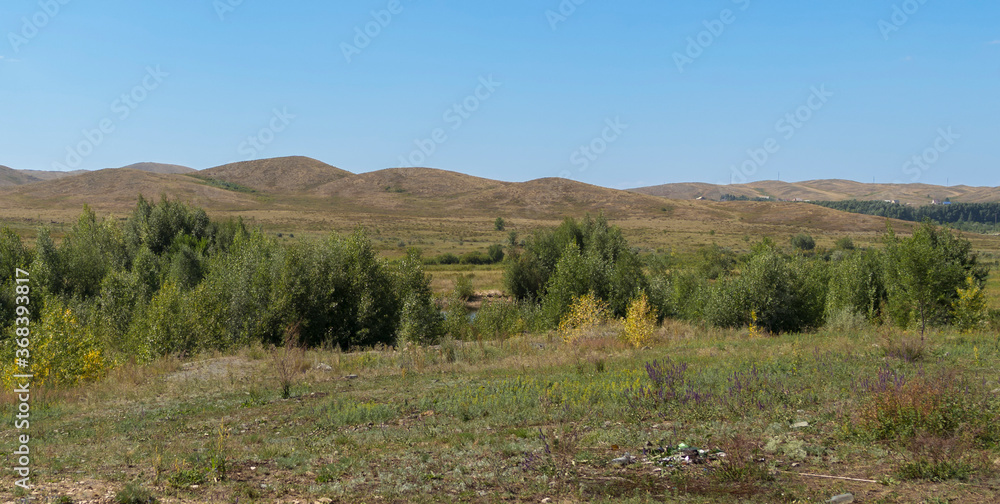 Summer steppe landscape. Landscape in kazakhstan. Kazakh steppe. Blue sky. Yellow grass. Panorama. Forest Steppe